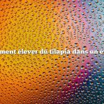 Comment élever du tilapia dans un étang