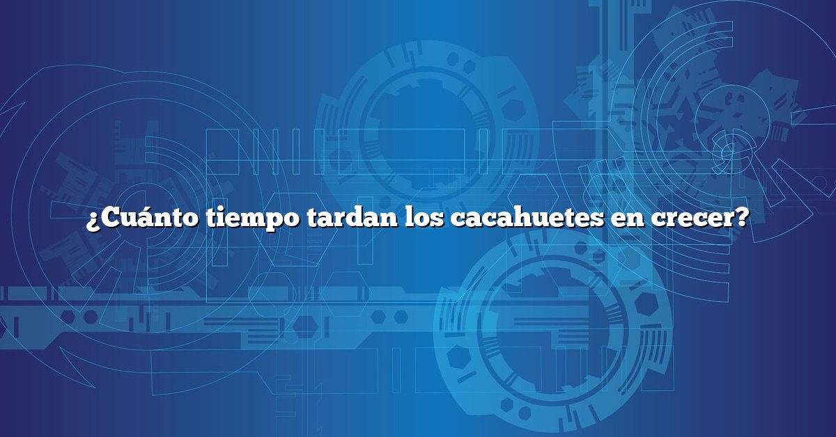 ¿Cuánto tiempo tardan los cacahuetes en crecer?