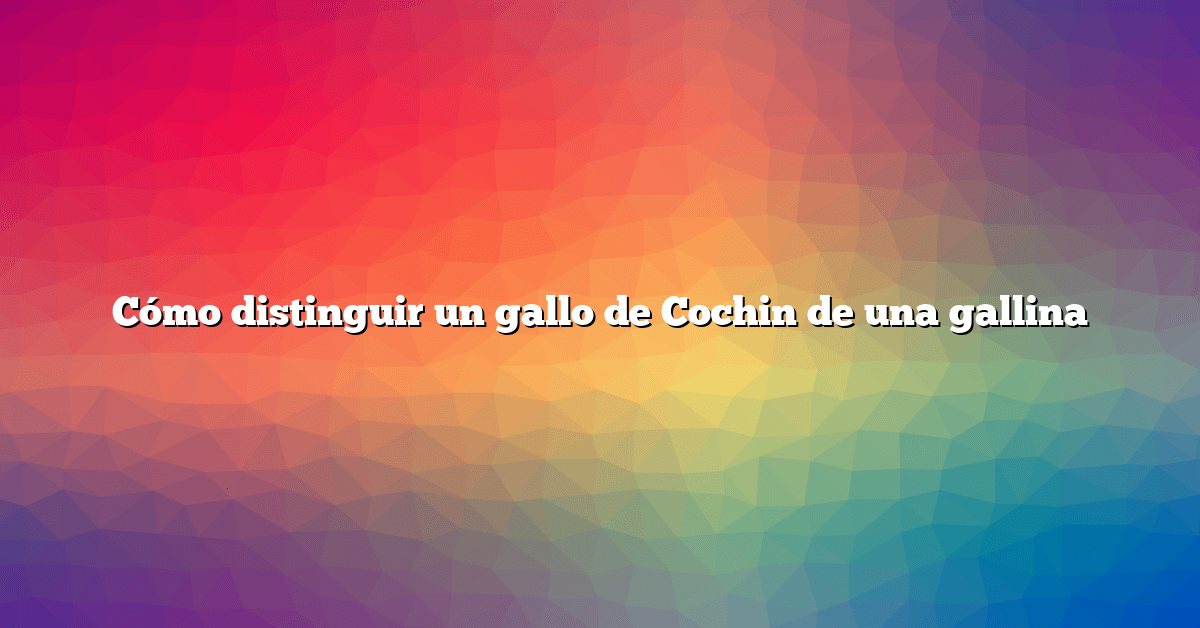 Cómo distinguir un gallo de Cochin de una gallina