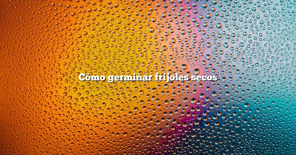 Cómo germinar frijoles secos