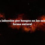 Cómo tratar la infección por hongos en los senos nasales de forma natural