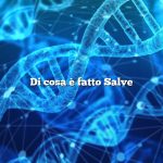Di cosa è fatto Salve