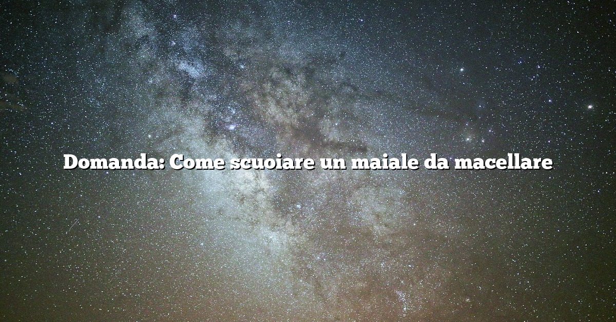 Domanda: Come scuoiare un maiale da macellare