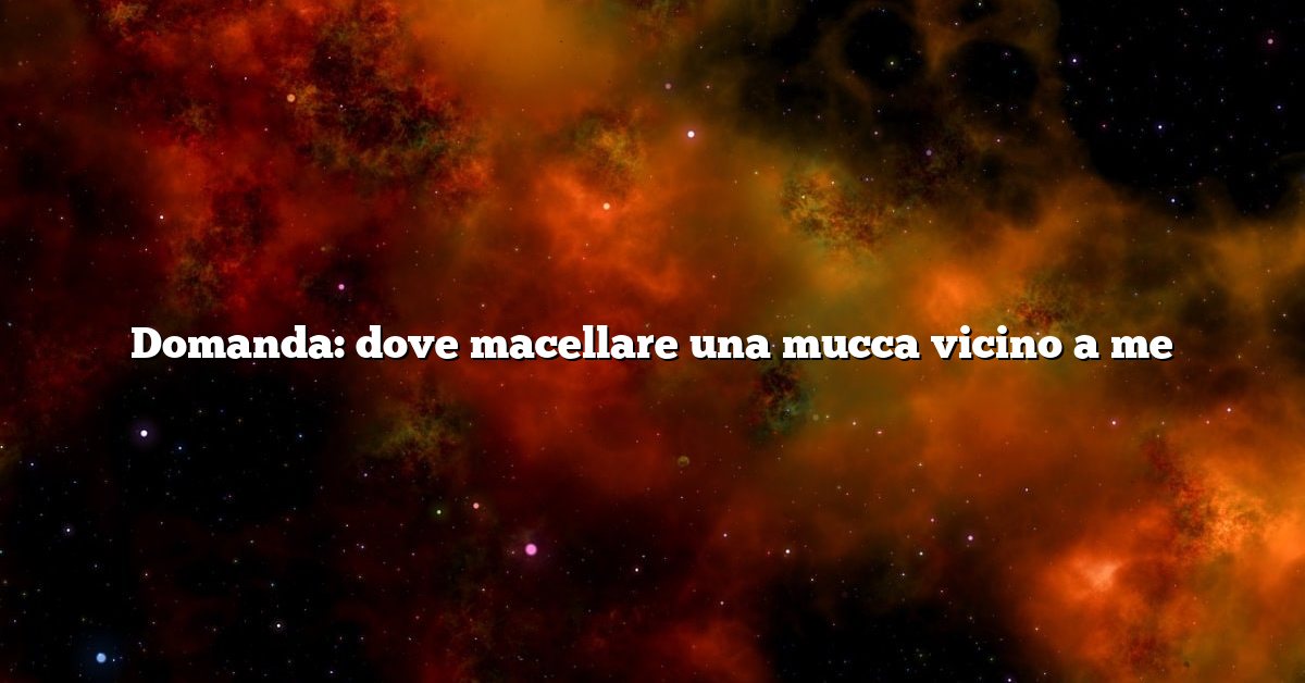 Domanda: dove macellare una mucca vicino a me
