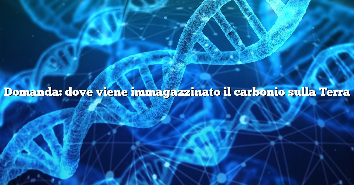 Domanda: dove viene immagazzinato il carbonio sulla Terra