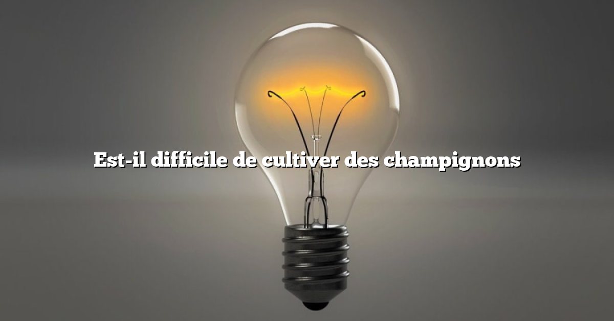 Est-il difficile de cultiver des champignons