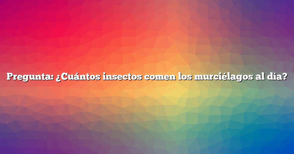 Pregunta: ¿Cuántos insectos comen los murciélagos al día?