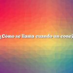 Pregunta: ¿Cómo se llama cuando un conejo da a luz?