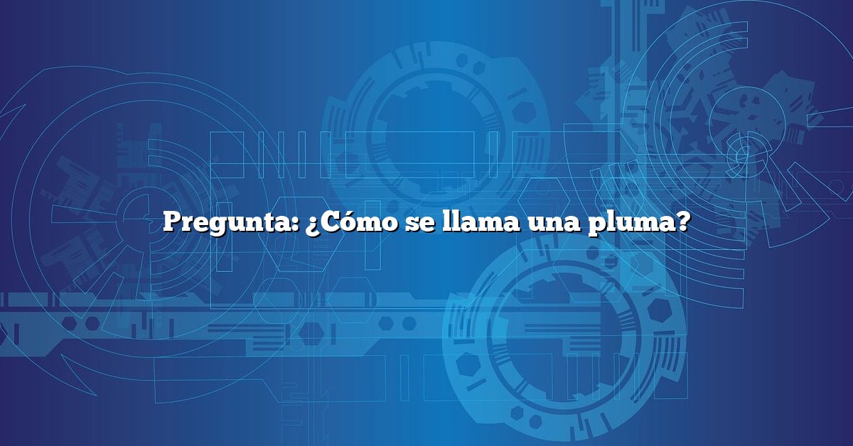 Pregunta: ¿Cómo se llama una pluma?