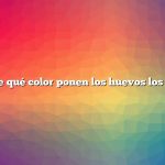 Pregunta: ¿De qué color ponen los huevos los patos reales?