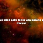 Pregunta: ¿Qué edad debe tener una gallina para poner un huevo?