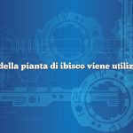 Quale parte della pianta di ibisco viene utilizzata per il tè