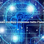 Quali verdure crescono tutto l’anno