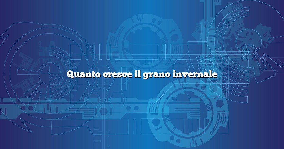 Quanto cresce il grano invernale