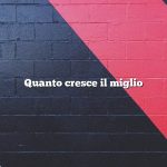 Quanto cresce il miglio