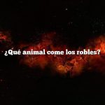 ¿Qué animal come los robles?