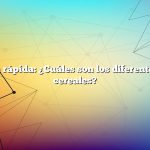 Respuesta rápida: ¿Cuáles son los diferentes tipos de cereales?