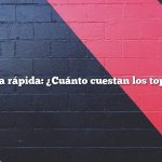 Respuesta rápida: ¿Cuánto cuestan los topógrafos?