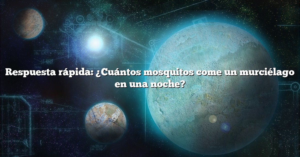 Respuesta rápida: ¿Cuántos mosquitos come un murciélago en una noche?