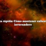 Respuesta rápida: Cómo mantener caliente el mini invernadero