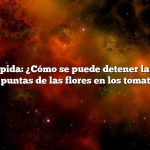 Respuesta rápida: ¿Cómo se puede detener la pudrición de las puntas de las flores en los tomates?