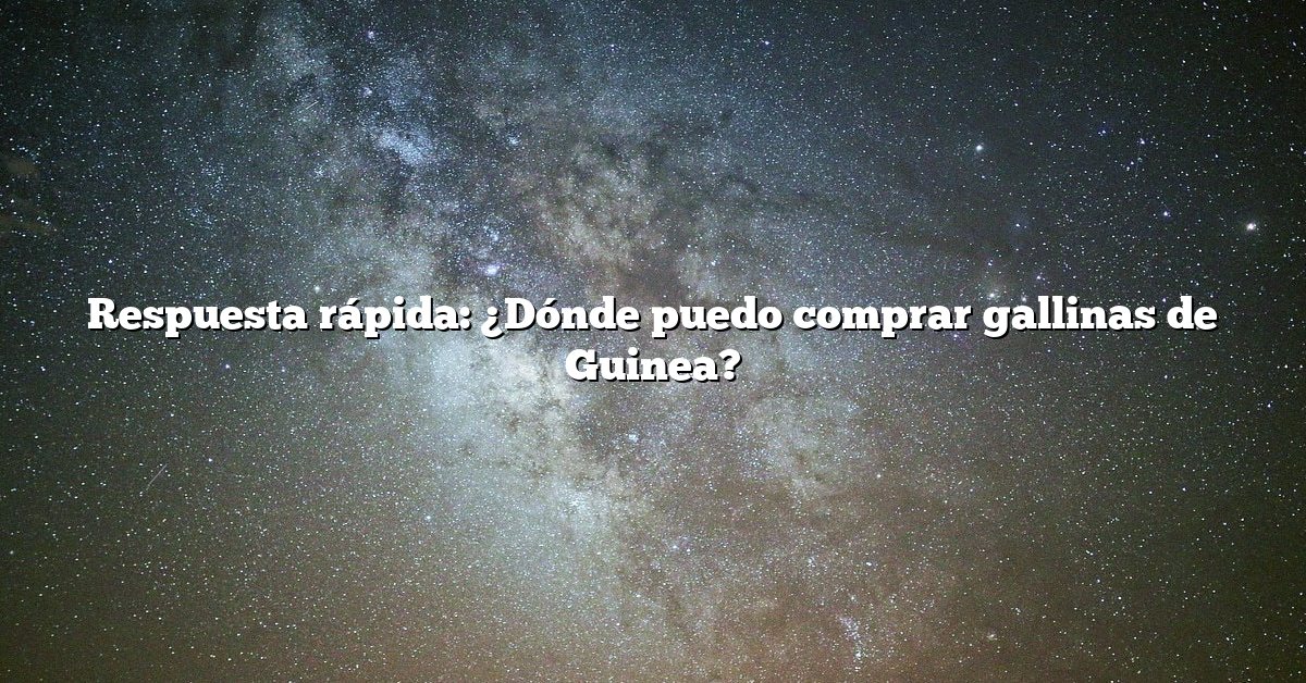 Respuesta rápida: ¿Dónde puedo comprar gallinas de Guinea?
