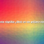 Respuesta rápida: ¿Qué es un pájaro codorniz?