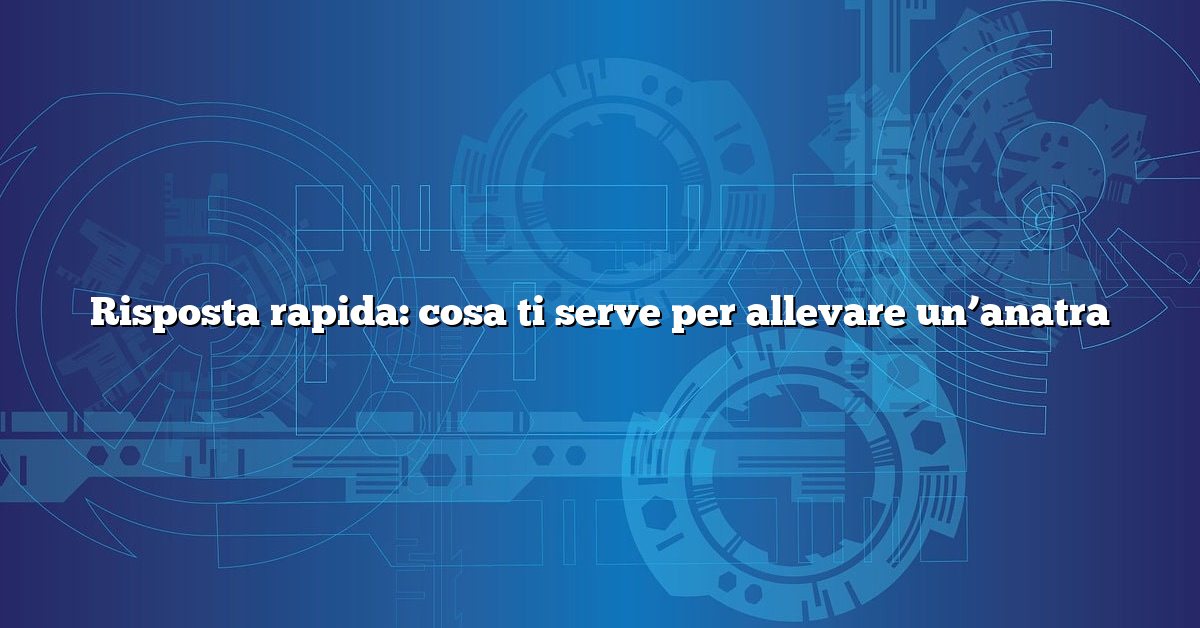 Risposta rapida: cosa ti serve per allevare un’anatra
