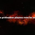 À quelle profondeur plantez-vous les asperges