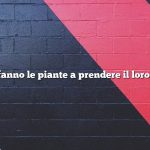 Come fanno le piante a prendere il loro colore