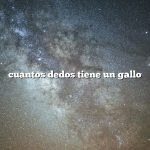 cuantos dedos tiene un gallo