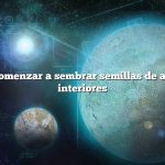 Cuándo comenzar a sembrar semillas de acelgas en interiores