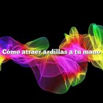 Cómo atraer ardillas a tu mano