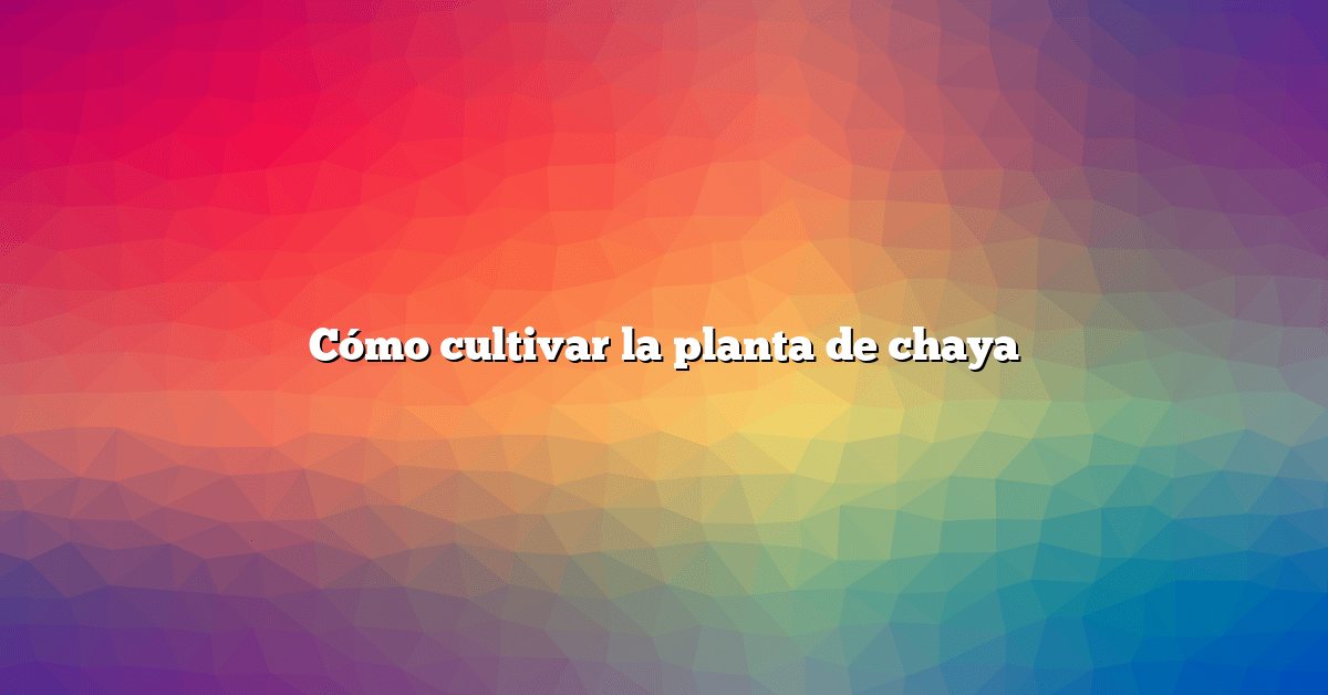 Cómo cultivar la planta de chaya