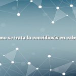 ¿Cómo se trata la coccidiosis en cabras?