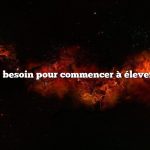 De quoi ai-je besoin pour commencer à élever des poulets