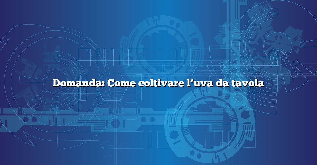 Domanda: Come coltivare l’uva da tavola
