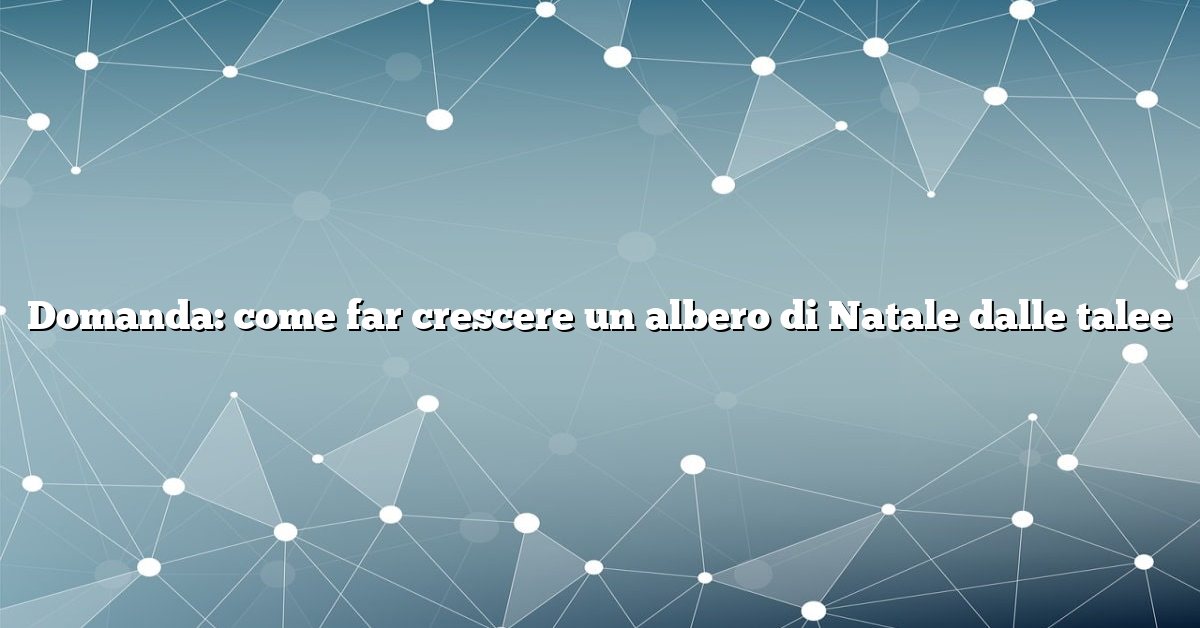 Domanda: come far crescere un albero di Natale dalle talee
