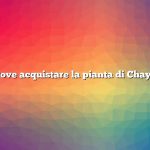 Dove acquistare la pianta di Chaya