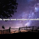 In quale zona crescono i carciofi