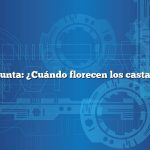 Pregunta: ¿Cuándo florecen los castaños?