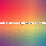 Quando fioriscono gli alberi di nettarine