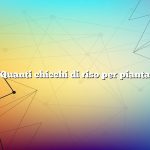 Quanti chicchi di riso per pianta