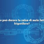 Quanto tempo può durare la salsa di mele fatta in casa nel frigorifero?