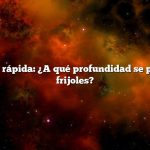 Respuesta rápida: ¿A qué profundidad se plantan los frijoles?