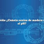 Respuesta rápida: ¿Cuánta ceniza de madera se debe elevar el pH?