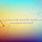 Respuesta rápida: ¿Qué remedio casero matará a las hormigas bravas?
