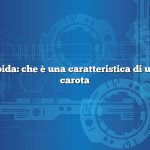 Risposta rapida: che è una caratteristica di una pianta di carota