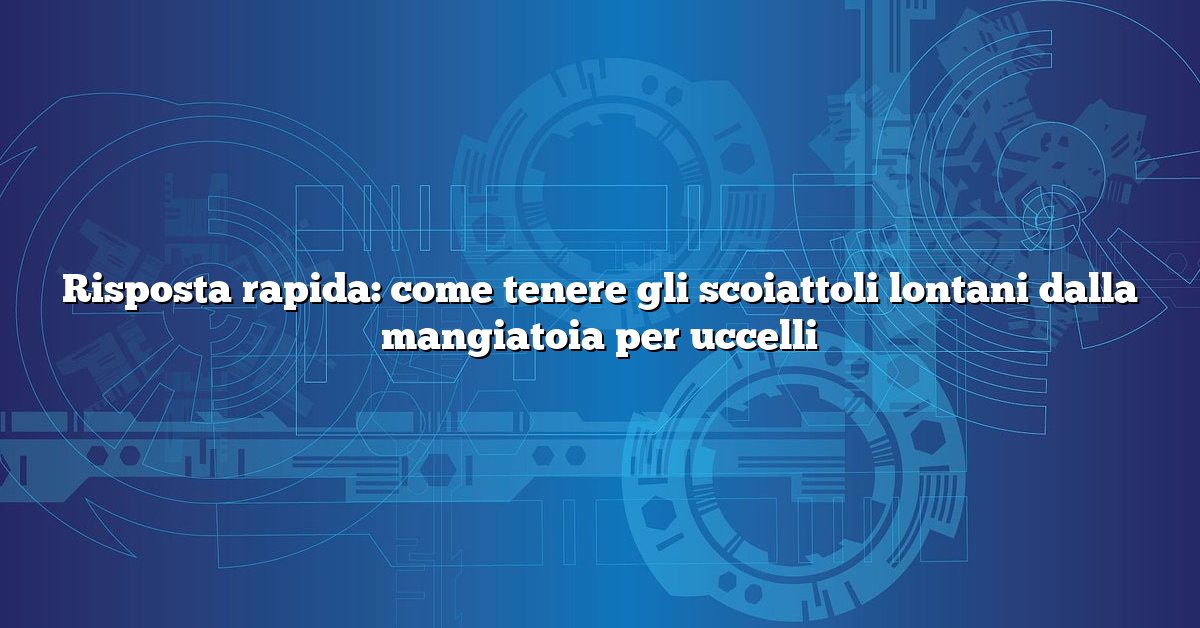 Risposta rapida: come tenere gli scoiattoli lontani dalla mangiatoia per uccelli