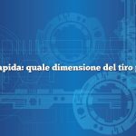 Risposta rapida: quale dimensione del tiro per le oche